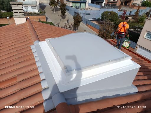 mantenimiento de claraboya con filtración 