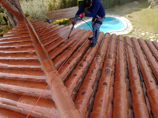 limpieza de tejado