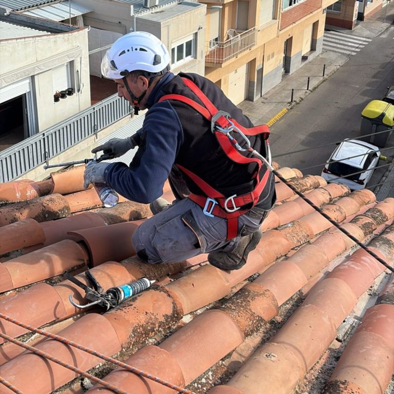 reposición de tejas dañadas